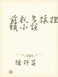 前戏多揉捏含乳头小说封面