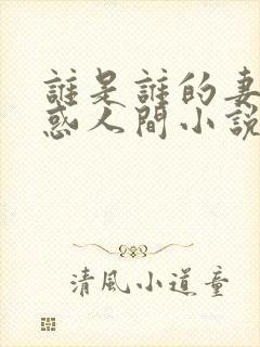 谁是谁的妻子魅惑人间小说在线阅读封面