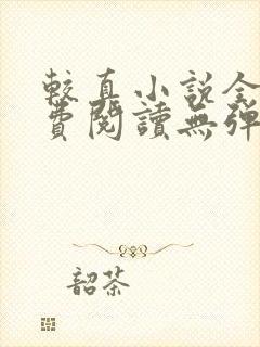 较真小说全文免费阅读无弹窗