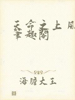 天命之上 风月笔趣阁