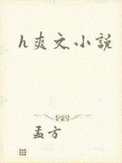 h爽文小说