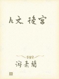 h文 后宫