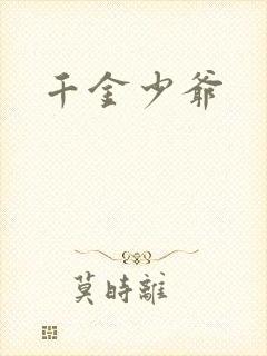 千金少爷封面