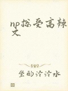 np总受高辣h文