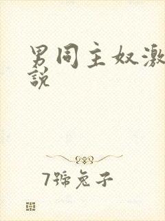 男同主奴激情小说