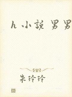 h 小说 男男