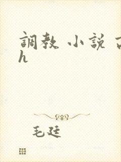调教 小说 高h封面