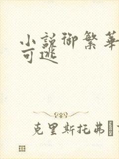 小说御繁华无处可逃