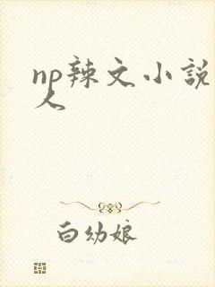 np辣文小说多人