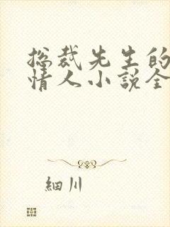 总裁先生的契约情人小说全文阅读