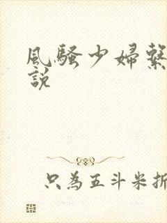 风骚少妇系列小说