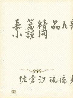 长篇精品h辣文小说网