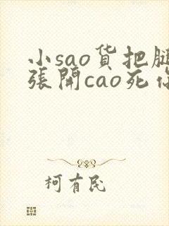 小sao货把腿张开cao死你小说