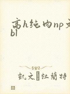 高h纯肉np文bl