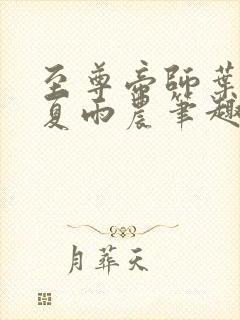 至尊帝师叶天君夏雨农笔趣阁