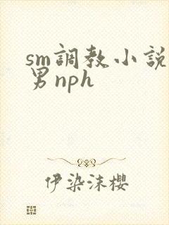sm调教小说男男nph