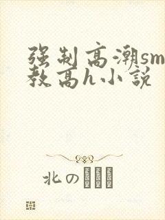 强制高潮sm调教高h小说