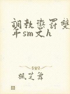 调教惩罚双性少年sm文h