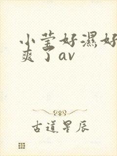 小莹好湿好紧太爽了av