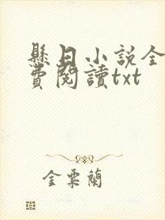 悬日小说全文免费阅读txt封面