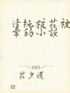 清纯校花被擒日常的小说