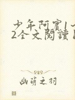 少年阿宾1～72全文阅读目录