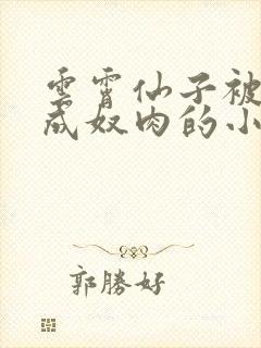 云霄仙子被调教成奴肉的小说