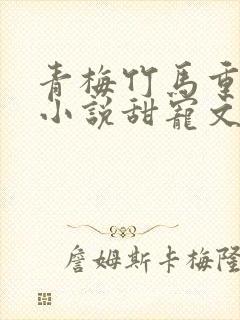 青梅竹马重逢的小说甜宠文封面