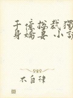 千亿总裁独宠替身娇妻 小说完整板