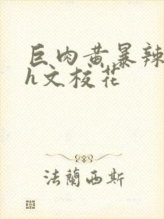 巨肉黄暴辣文高h文校花