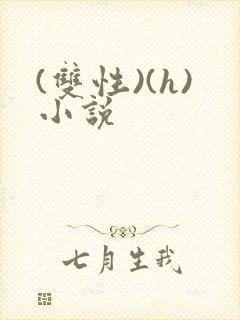 (双性)(h)小说