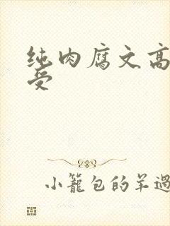 纯肉腐文高h总受