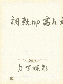调教np高h文