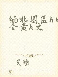 缅北园区h肉欲全黄h文封面