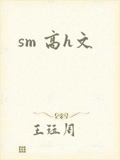 sm 高h文封面