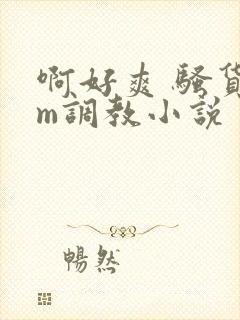啊好爽 骚货sm调教小说封面