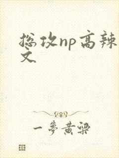 总攻np高辣h文