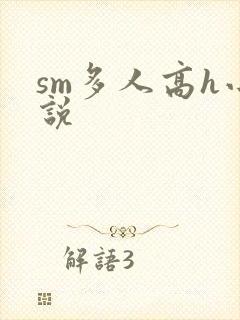 sm多人高h小说封面