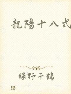 龙阳十八式