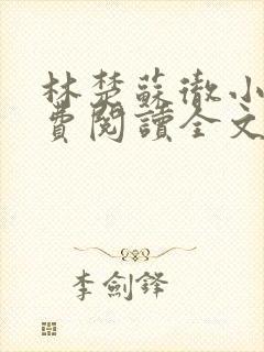 林楚苏彻小说免费阅读全文最新章节封面