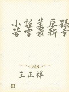 小说叶辰孙怡夏若雪最新章节阅读