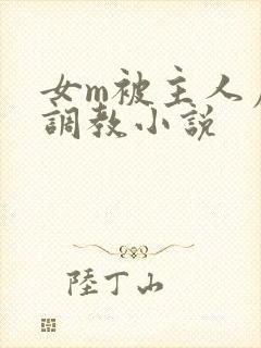女m被主人虐菊调教小说封面