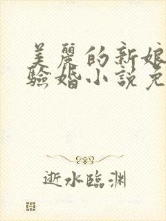 美丽的新娘阿龟验婚小说免费阅读