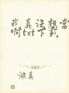我真没想当皇帝啊txt下载