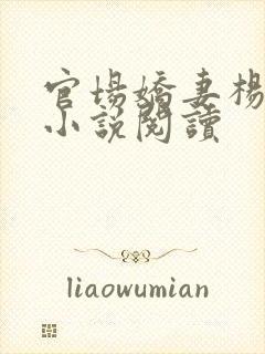 官场娇妻杨玉婷小说阅读