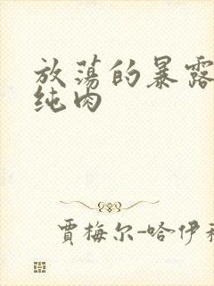 放荡的暴露高h纯肉