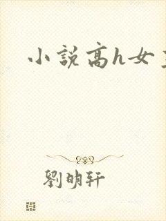 小说高h女主