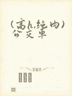 (高h,纯肉)公交车