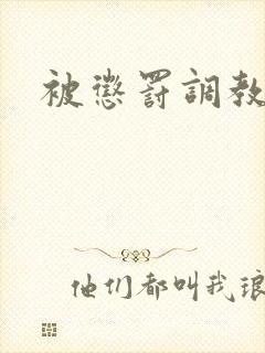 被惩罚调教文封面