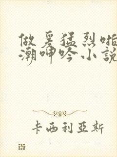 做爰猛烈啪啪高潮呻吟小说封面